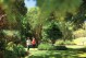 A romantic garden stroll for two