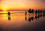 Cable Beach Camel Ride