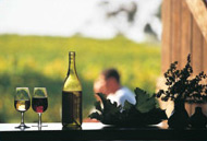 Margaret River Wineries Margaret River Wineries