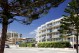 Norfolk Island Pines grace the Scarborough beachfront