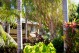 Our apartments and bungalows are all nestled amongst lush, secluded gardens