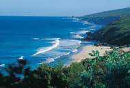 Yallingup Coast Yallingup Coast