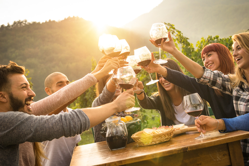 Unplugged Wine Tours