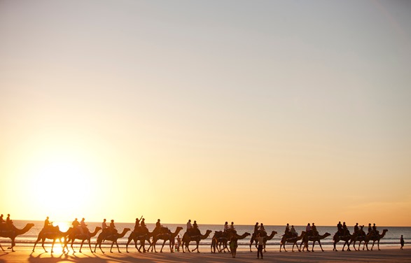 Cable Beach Camel Rides