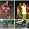 Help us to help the people of Vanuatu A snapshot of Seashells MD Paul King's experience in Vanuatu.