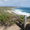Seashells supports Friends of Cape to Cape Track Cape to Cape Track