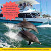 Win a Mandurah dolphin cruise! Win a Mandurah Cruises tour!