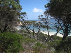 Injidup Beach on the Cape to Cape Track