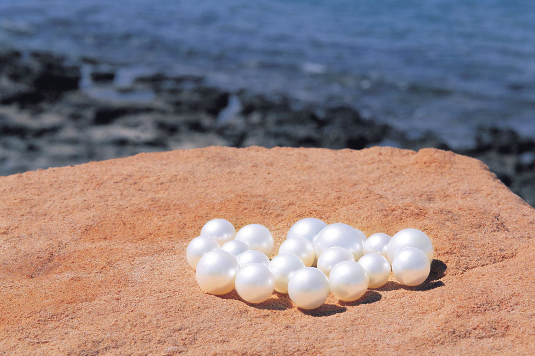 broome pearls