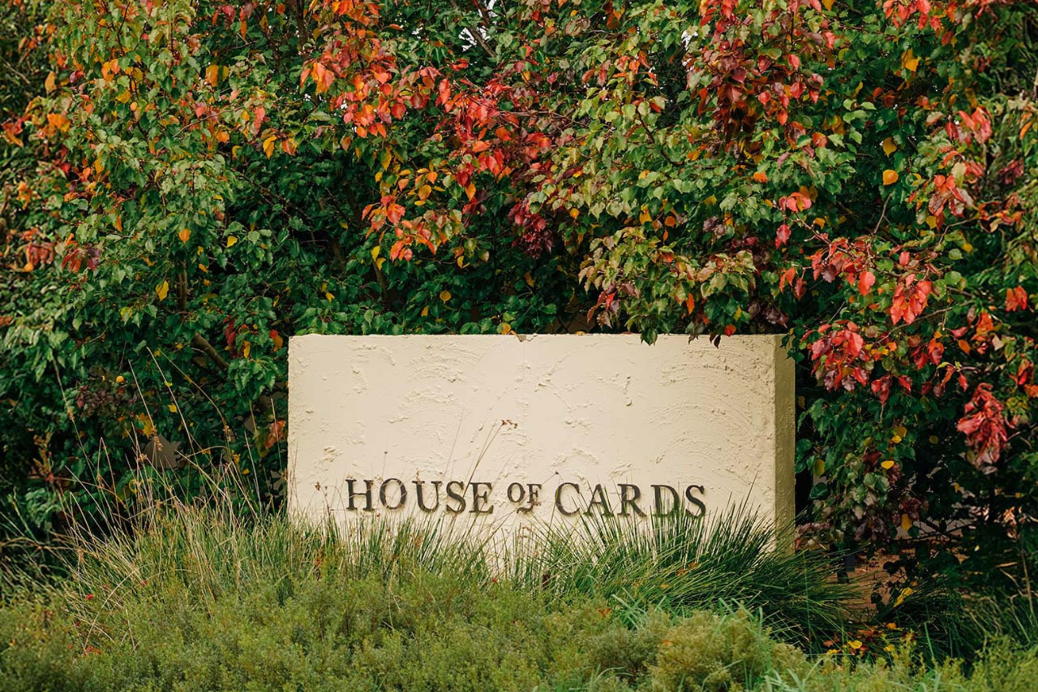 house of cards winery